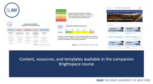 Content, resources, and templates available in the companion Brightspace course